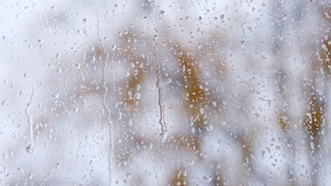 rain falling outside, raindrops flowing on the window on a rainy day in autumn, trees moving windy, static background, space for text