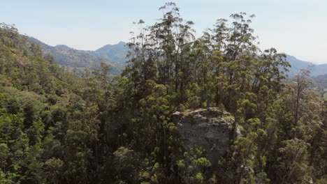 Die-Grünen,-üppigen-Landschaften-Der-Taita-Hügel-In-Kenia