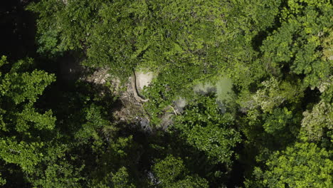 Agua-Clara-En-El-Arroyo-Cubierto-Por-Un-Exuberante-Bosque-Verde-En-Playa-Rincón,-República-Dominicana