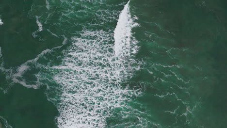 toma aérea de una playa en tofino, columbia británica, canadá