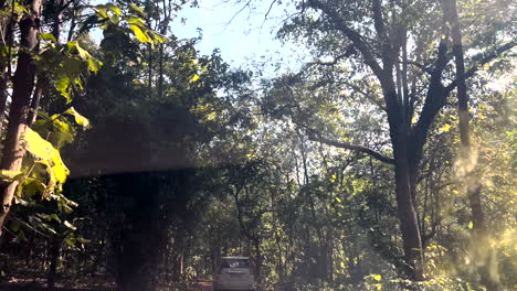 Experience-a-passenger-view-of-a-drive-through-Bhat-Jungle-in-India,-with-sunlight-flickering-through-the-lush-canopy-above,-offering-a-captivating-journey-through-nature's-beauty