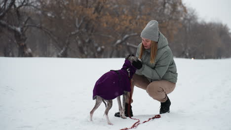 woman crouching in snow gently caressing dog wearing purple coat during peaceful winter walk, surrounded by soft snowfall, expressing affection and care in tranquil natural setting