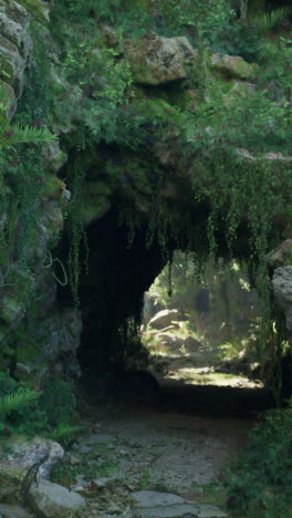 mysterious overgrown cave entrance in a forest