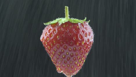 delicious strawberry rotates under water drops. on a black background