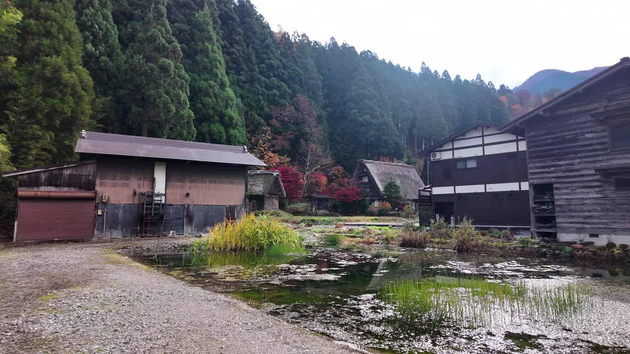 Traditional gassho style farmhouses with fall foliage in Shirakawa go, a UNESCO World Heritage Site in Gifu Prefecture, Japan