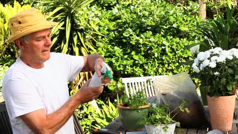 hombre maduro colocando plantas en su jardín