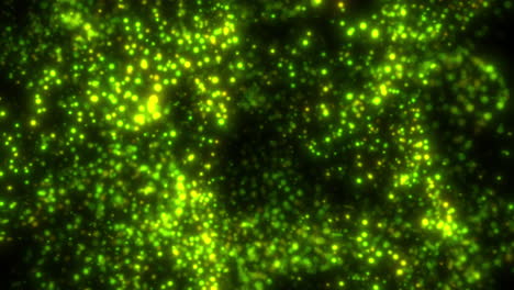 pasar a través de partículas de fluido flotante abstractas verdes con fondo negro - visualización del concepto cuántico