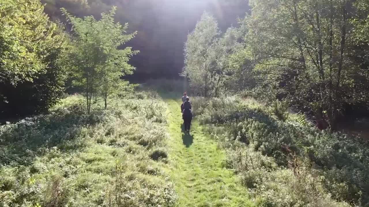 En dreng og en pige rider på heste gennem skoven ved floden.