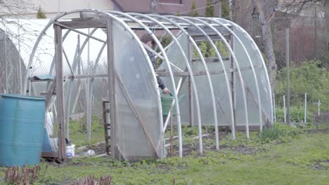 watering irrigating a diy greenhouse at backyard home