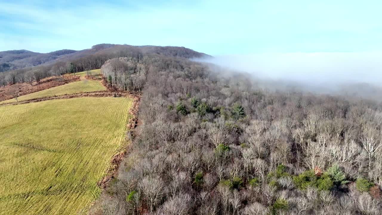 montañas cubiertas de matorrales en la niebla en el condado de wilkes nc, carolina del norte