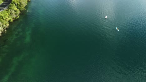 Lago-Azul,-Camino-Del-Bosque-De-Palmeras-Y-Turista-En-Paddle-Bord-4k-Drone-Disparado-En-Nueva-Zelanda