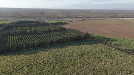 Un-Dron-De-Rotación-Lenta-Revela-Una-Escena-Agrícola-Que-Bordea-El-Parque-Nacional-Kruger.