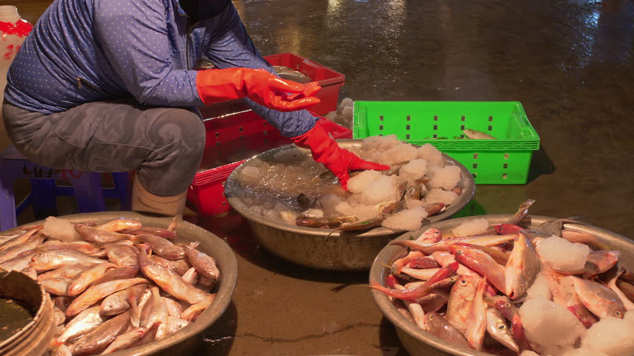 puerto pesquero más grande tho quang temprano en la mañana y mujer separando peces para la venta, vietnam