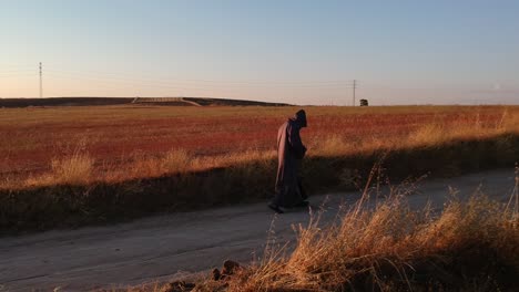 Un-Tiro-Lateral-Siguiendo-A-Un-Monje-Caminando-Por-Un-Camino-De-Tierra