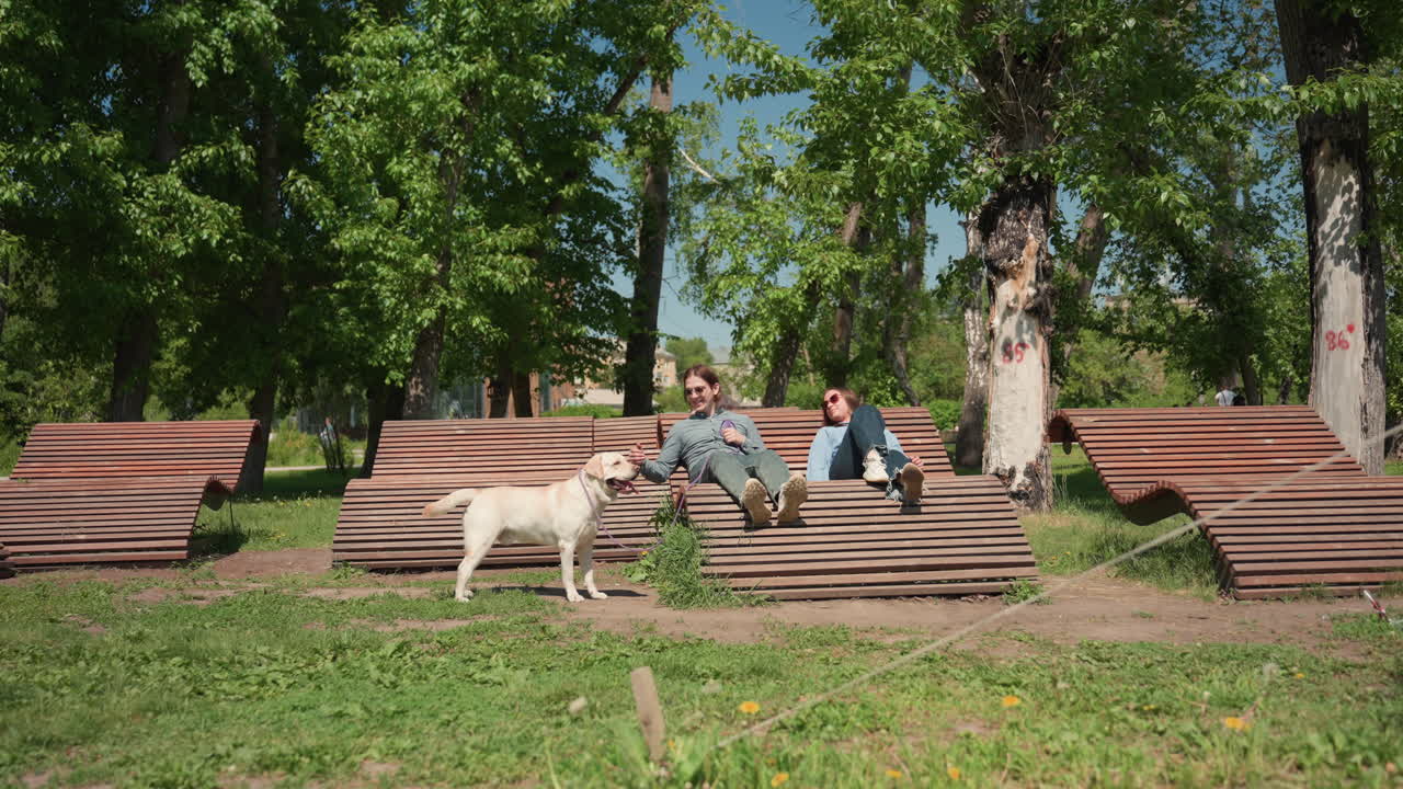 Los niños disfrutan de las actividades al aire libre, los niños y las mascotas se relajan bajo la luz del sol, los jóvenes y los animales se deleitan jugando al sol, los niños y sus perros se divierten bajo la brillante luz del sol al aire libre.