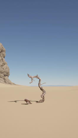 dead tree in the desert