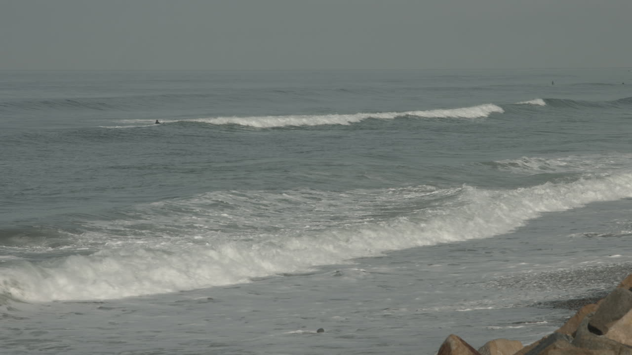 A surfer paddles out at a Torry Pine State Natural Reserve beach in San Diego, California