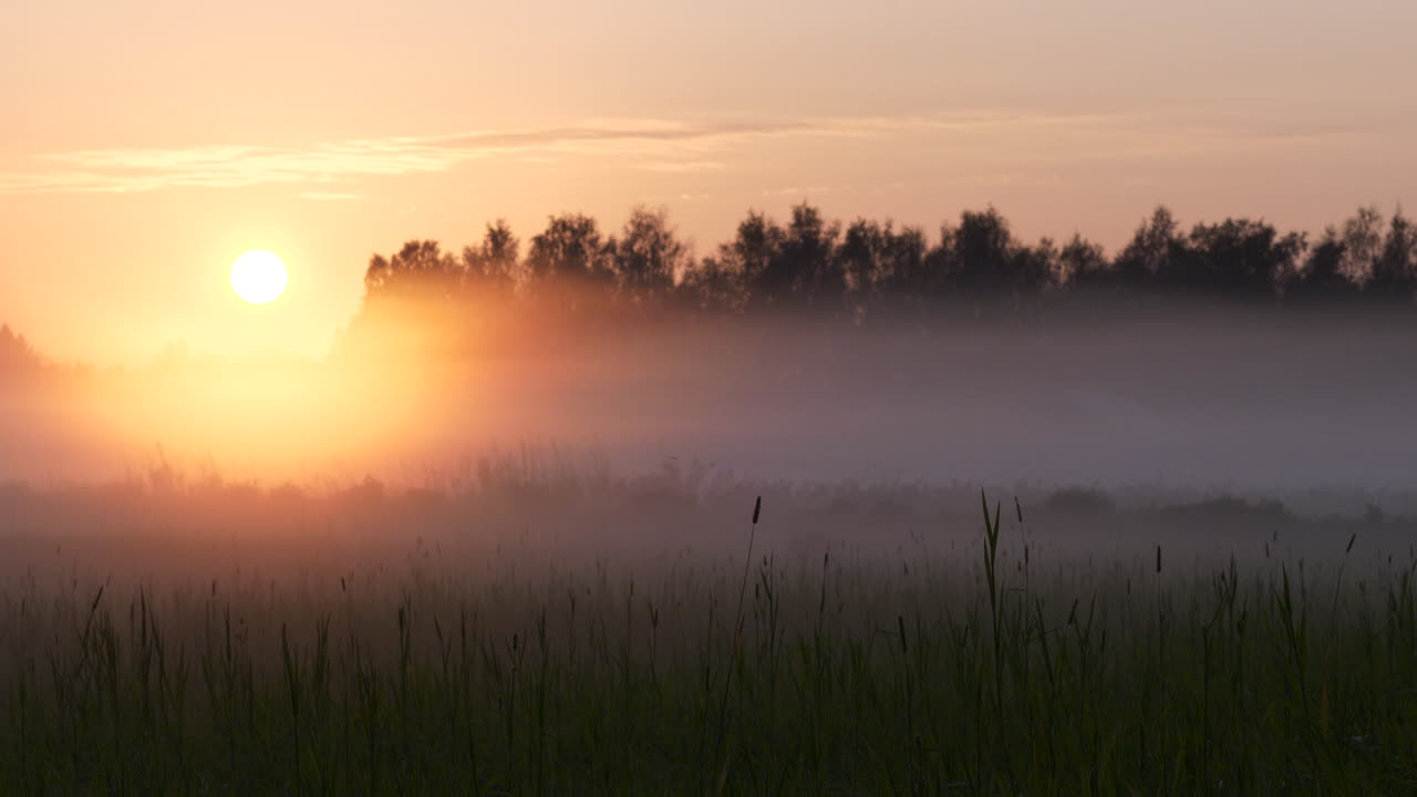 vista estática del colorido amanecer por campo de niebla y bosque, escandinavia