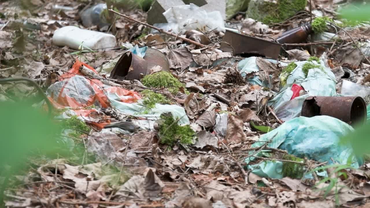 basurero en el bosque, desechos plásticos, basura