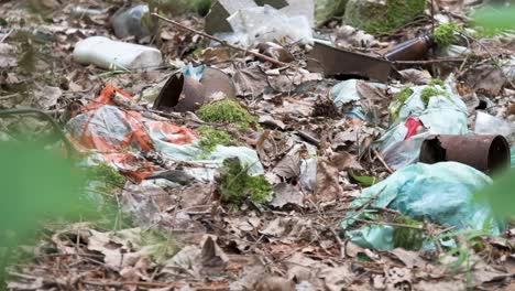 dump in forest, plastic waste, rubbish