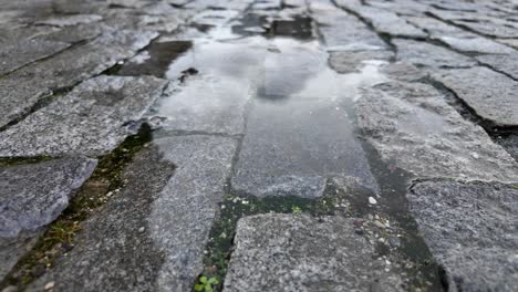 wet cobblestone street with puddle