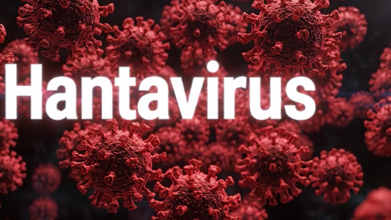 Representação Visual do Hantavírus: Detalhes e Estruturas Intrincadas de Partículas Virais em um Ambiente Microbiano, Mostrando a Gravidade e o Impacto na Saúde.
