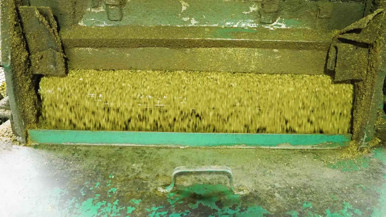 un primer plano de una máquina que hace escamas de aceite de palma en una fábrica de malasia