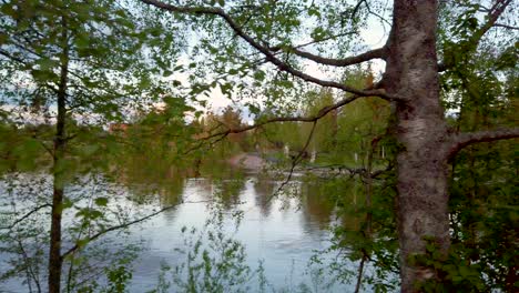 Hermoso-Bosque-Noruego-En-El-Condado-De-Hedmark-En-Noruega