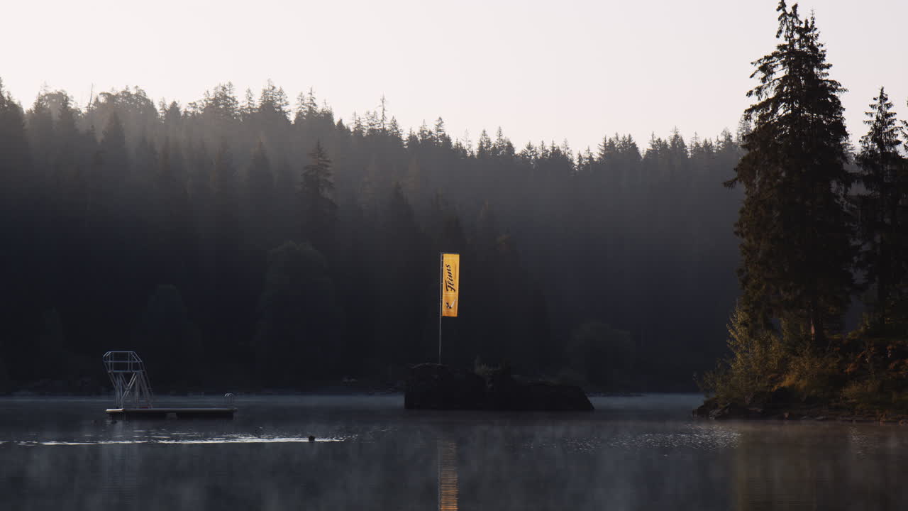 여름철 이른 아침에 카우마제 호수 스위스에서 수영하는 누군가의 호숫가 전망, 주변의 야생 호숫가 스위스 자연 풍경