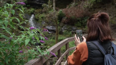 From behind, a young woman holds her smartphone to film a beautiful waterfall in the Irish woods. A travel vlogger or tourist capturing content for social media while hiking