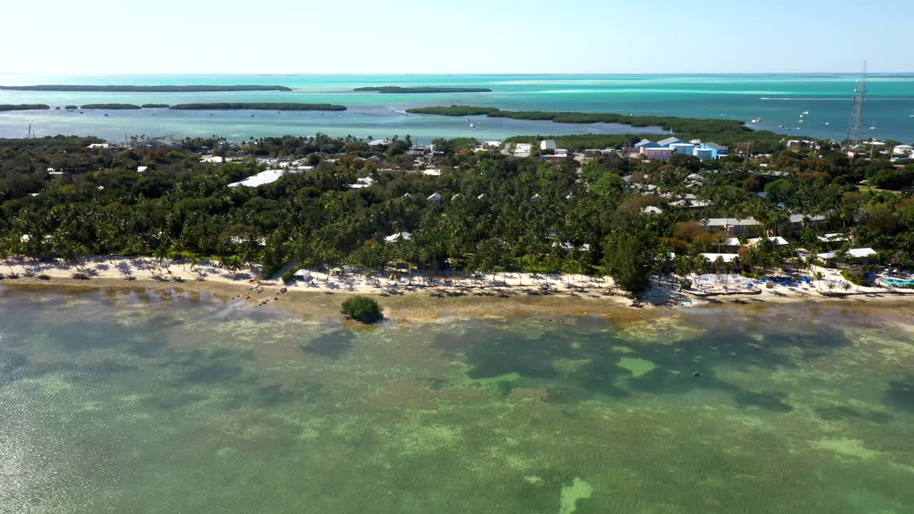 Aerial coastal flyover of clear water and beach trees in Islamorada resort area, panoramic drone overview