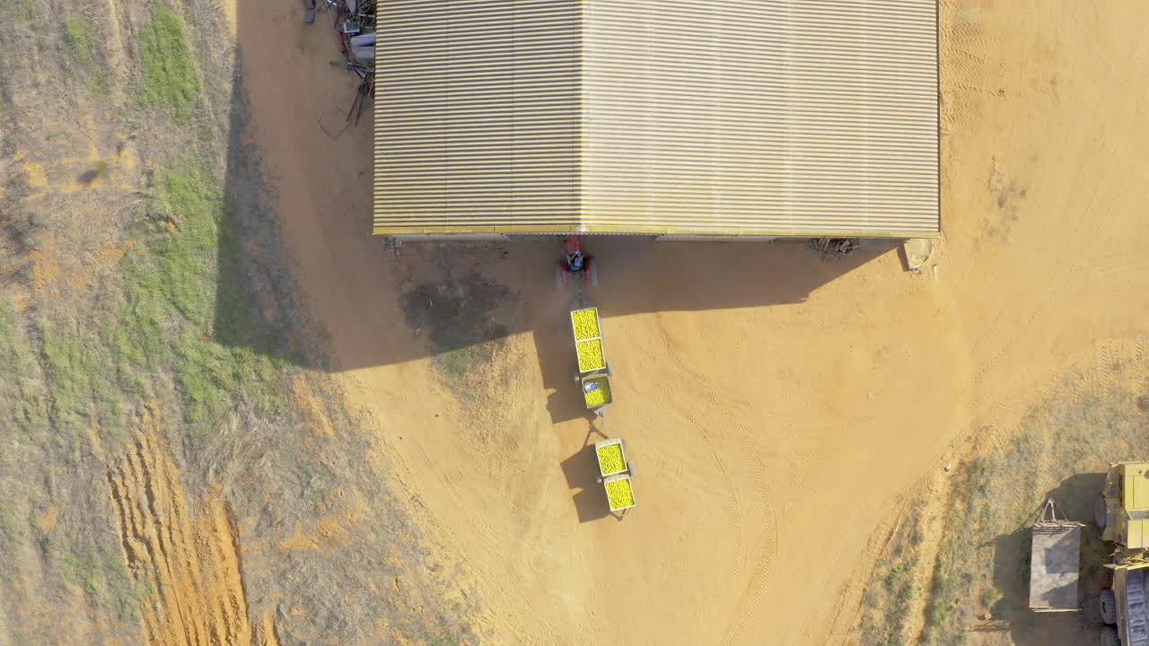 el negocio de la fruta está en auge.