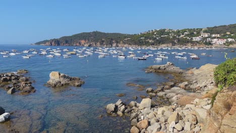 beach in costa brava calella de palafrugell tamariu catalunya spain fishing village mediterranean sea transparent turquoise blue waters paseo de ronda