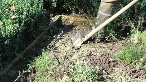 a man digging in a garden