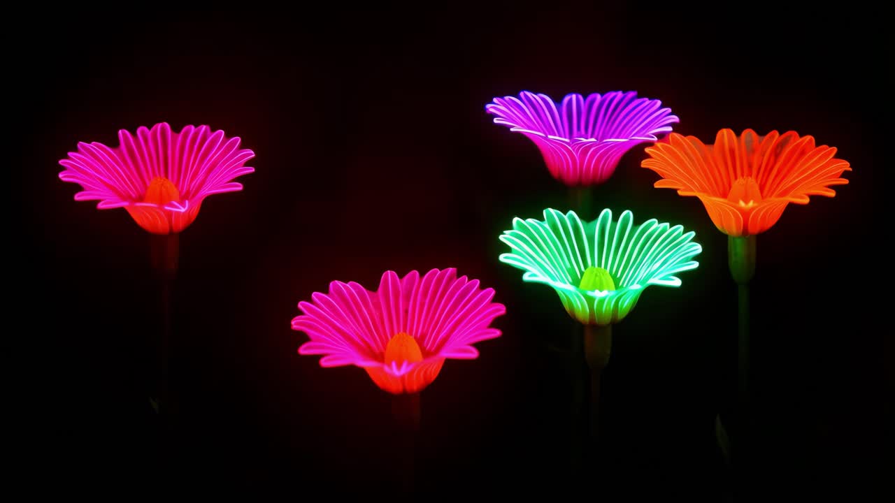 검은 바탕에 네온 꽃