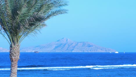 Blick-Auf-Die-Insel-Tiran-Im-Roten-Meer-In-Scharm-El-Scheich-Am-Sonnigen-Nachmittag,-Palme-Im-Vordergrund,-Mittlere-Aufnahme