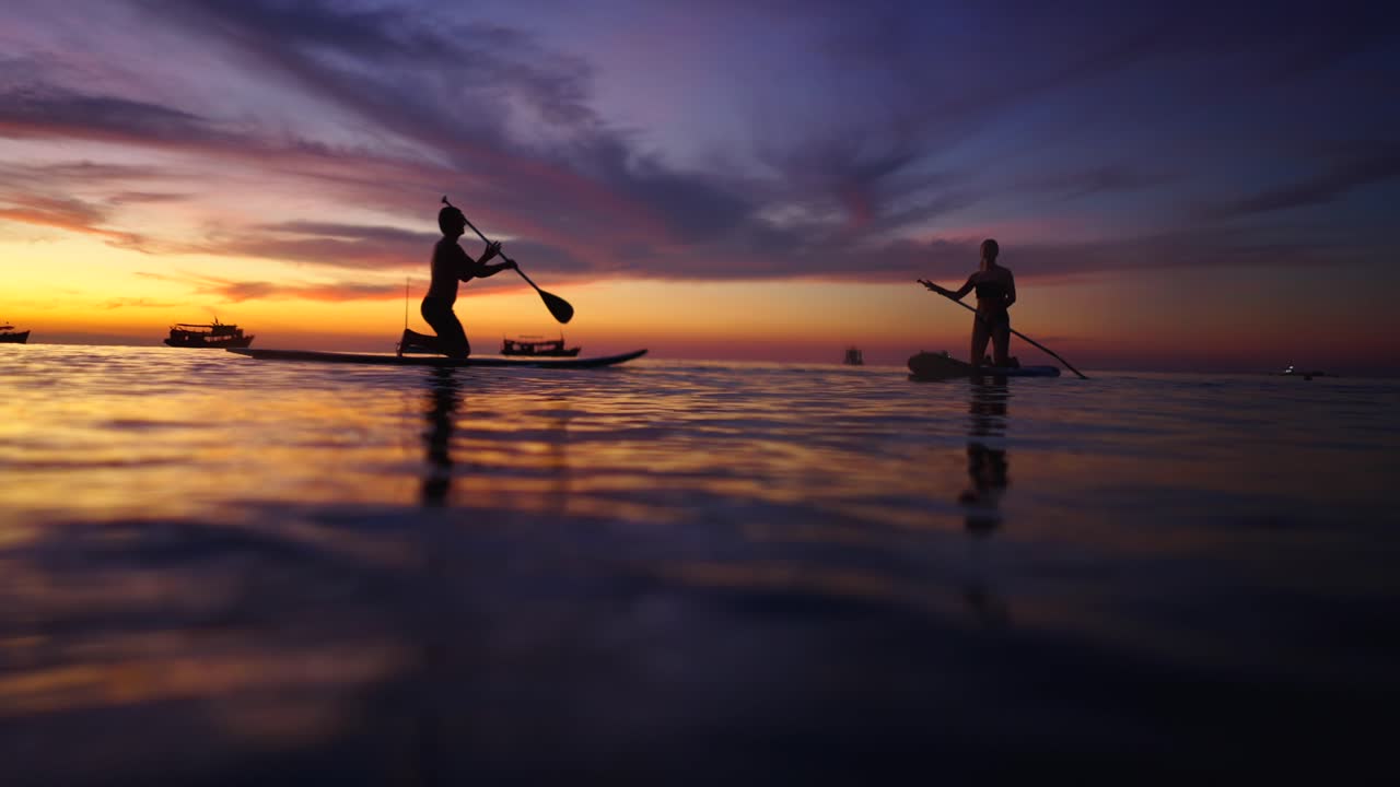 Silhouettes of people paddleboarding at sunset