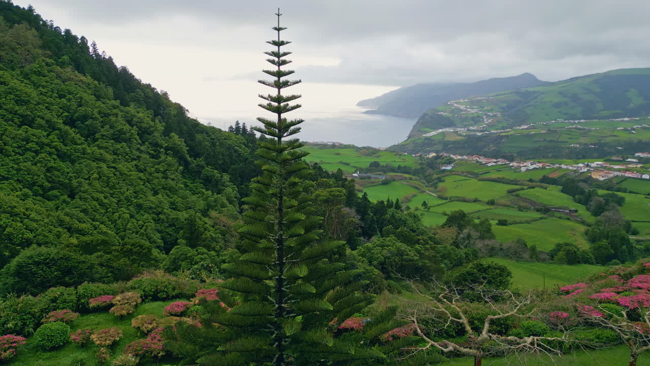 공중의 초록색 언덕, 여름의 어두운 바다, 바다의 물이 는 해안 경사,