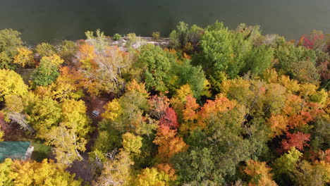 Vuelo-De-Drones-Mirando-Hacia-Abajo-Sobre-Un-Bosque-En-Colores-Otoñales-Brillantes-Que-Contiene-Una-Cabaña-Al-Borde-De-Un-Lago