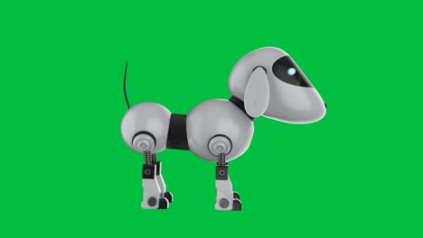 perro robot en la pantalla verde