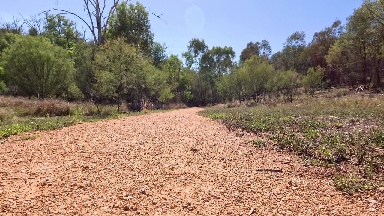 오스트레일리아의 쿠나바라브란 (coonabarabran) 에 있는 조용한 숲길.