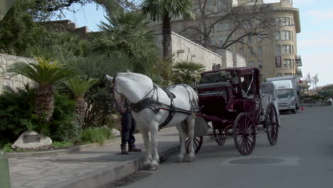 Dies-Ist-Eine-Aufnahme-Eines-Pferdes-Und-Eines-Kinderwagens-Draußen-In-San-Antonio,-Texas