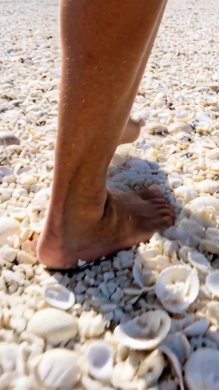 Video verticale: Piedi di un adulto che camminano su conchiglie bianche, premendo lungo la battigia.