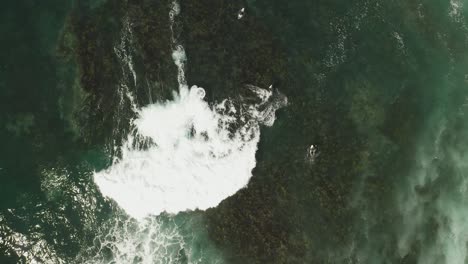 surfing riding wave above green coral reef high angle aerial of pacific ocean