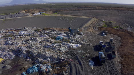 all this litter is harming the environment