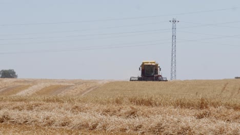 Combinar-La-Cosecha-De-Campo-De-Trigo-En-España-3