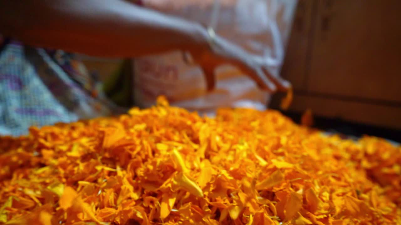 Una fioraia che vende calendule lungo la strada ad Agra, India - Primo piano