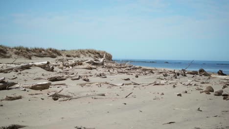 Explore-the-tranquil-beauty-of-a-serene-beach-adorned-with-logs,-a-picturesque-scene-that-invites-you-to-immerse-yourself-in-the-peaceful-allure-of-nature