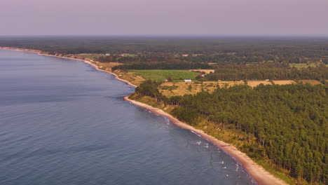 coastal landscape with forest and farmland