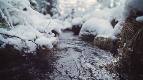 Stream-in-snowy-forrest.-Slow-motion